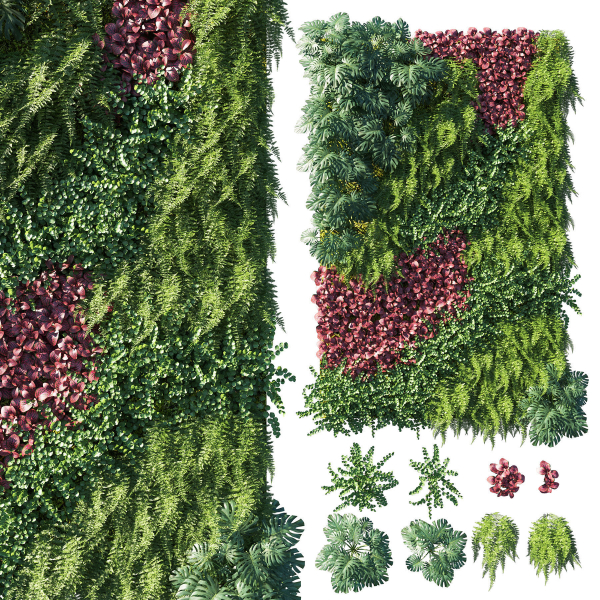 Vertical garden  Green wall 06