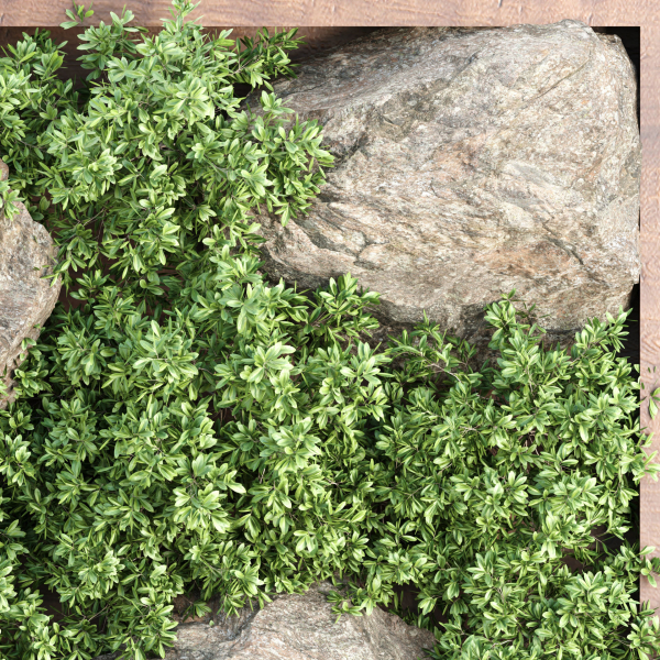 Vertical Garden vol 235