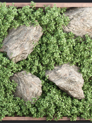 Vertical Garden vol 235
