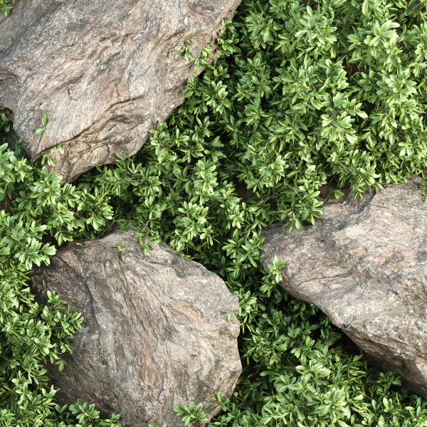 Vertical Garden vol 235