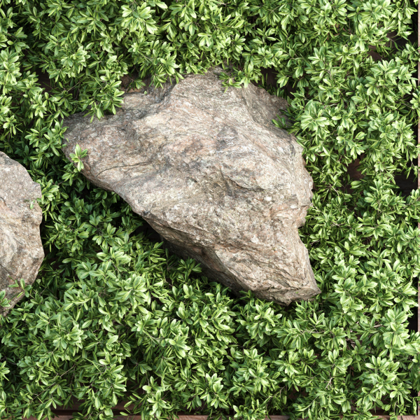Vertical Garden vol 235