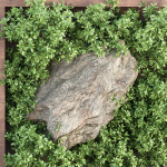 Vertical Garden vol 235