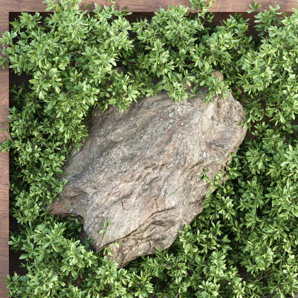 Vertical Garden vol 235