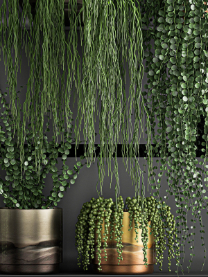 vertical-gardening-on-wall-shelves-61-3d-model-max-obj-fbx