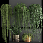 Vertical gardening on wall shelves 61
