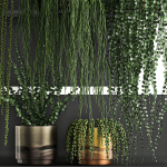 Vertical gardening on wall shelves 61
