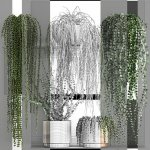 Vertical gardening on wall shelves 61