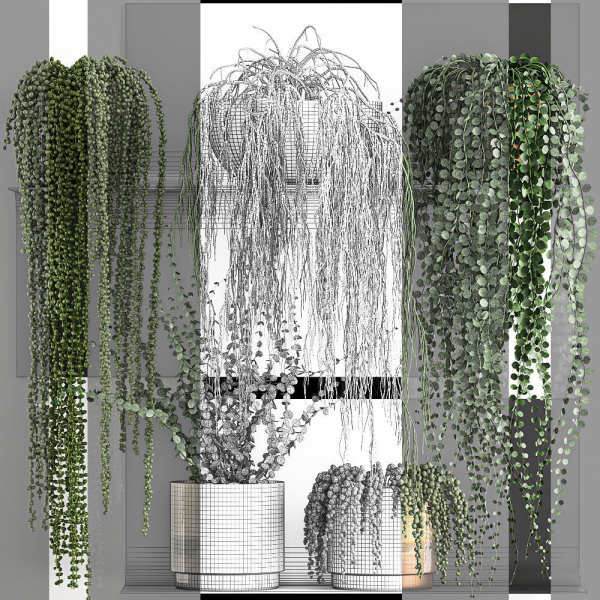 Vertical gardening on wall shelves 61