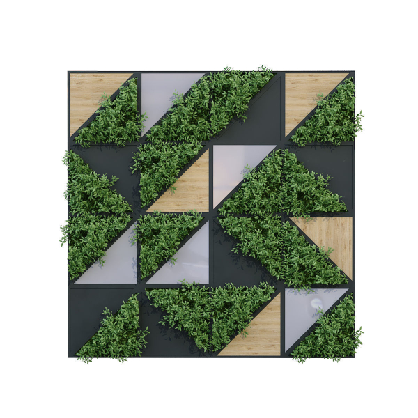 vertical plant set 185