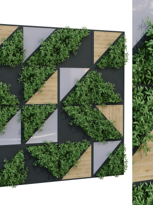 vertical plant set 185