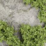 Vertical Rock Garden vol 133-Blender