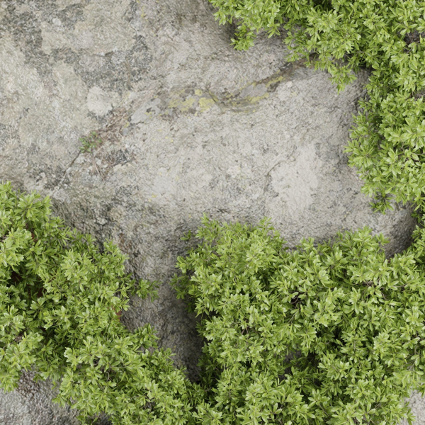 Vertical Rock Garden vol 133-Blender
