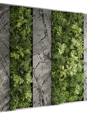 Vertical Wall Garden With Rock frame