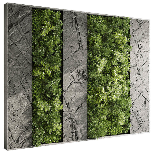 Vertical Wall Garden With Rock frame