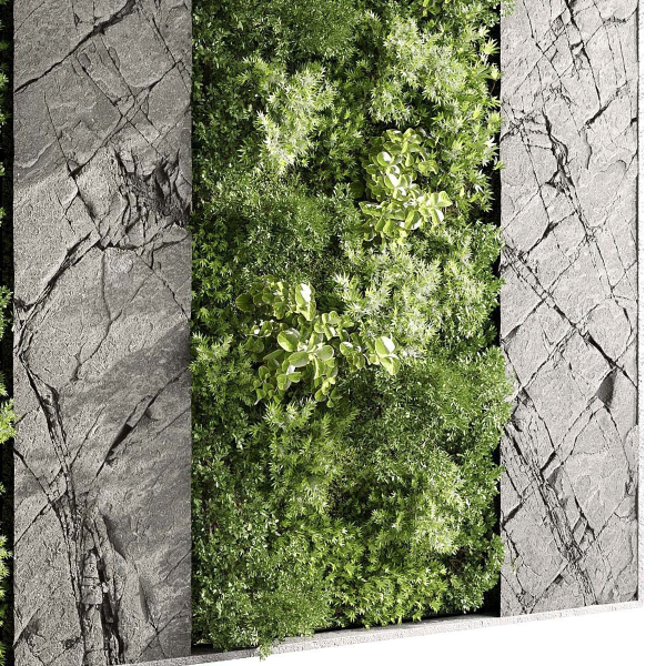 Vertical Wall Garden With Rock frame