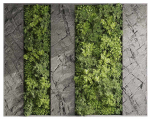 Vertical Wall Garden With Rock frame