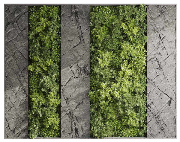 Vertical Wall Garden With Rock frame