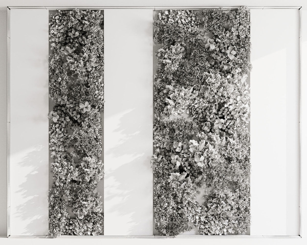 Vertical Wall Garden With Rock frame
