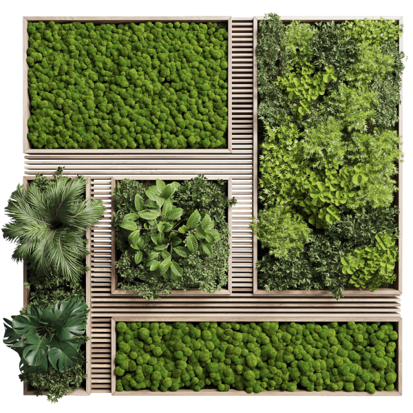 Vertical Wall Garden With Wooden frame 39