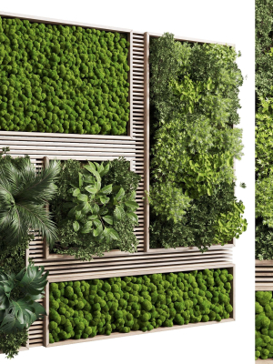 Vertical Wall Garden With Wooden frame 39