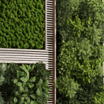 Vertical Wall Garden With Wooden frame 39