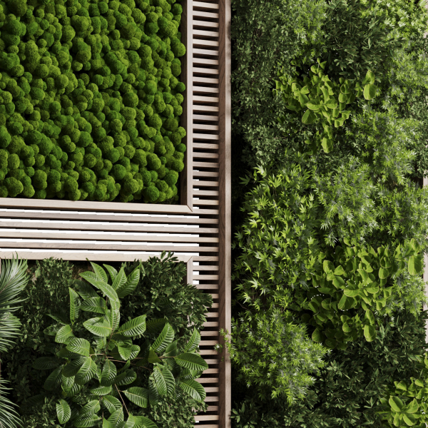 Vertical Wall Garden With Wooden frame 39
