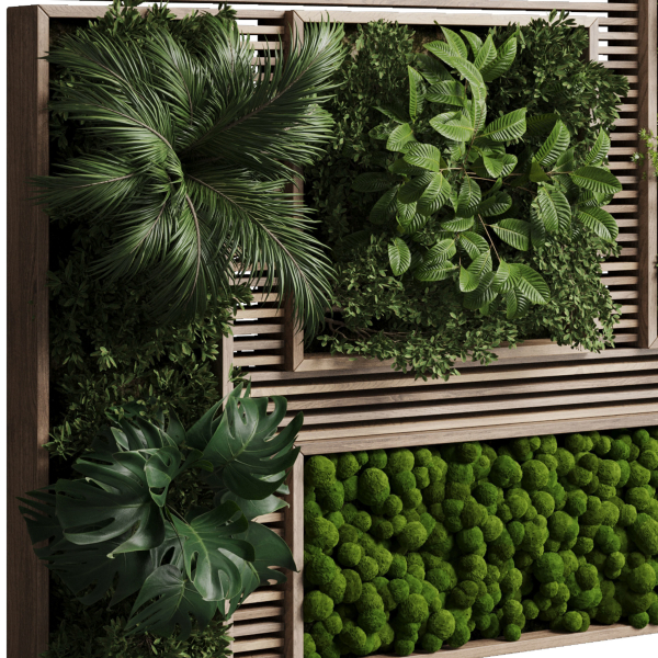 Vertical Wall Garden With Wooden frame 39