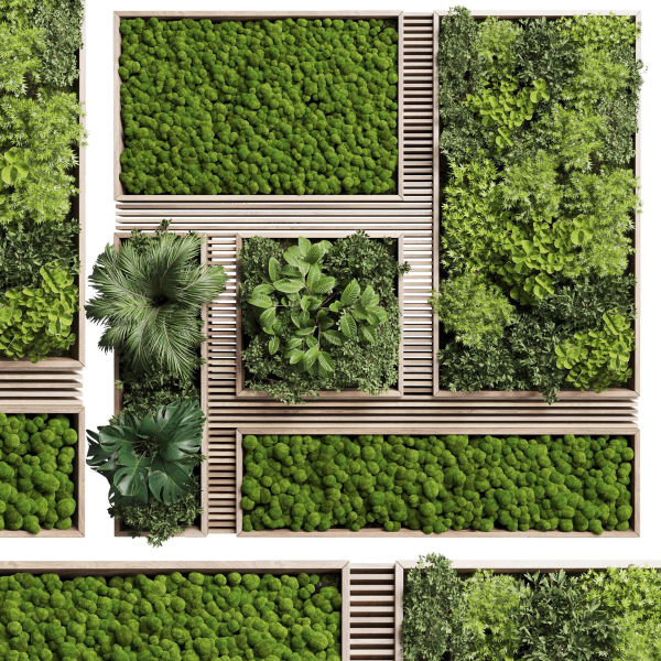 Vertical Wall Garden With Wooden frame 39