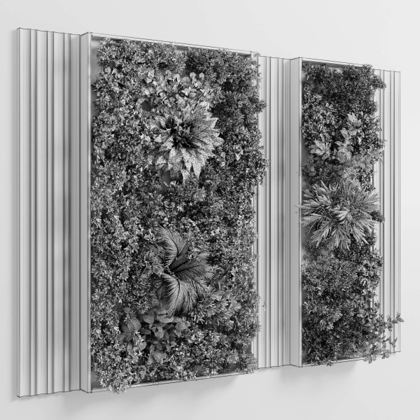 Vertical Wall Garden With Wooden frame set 53