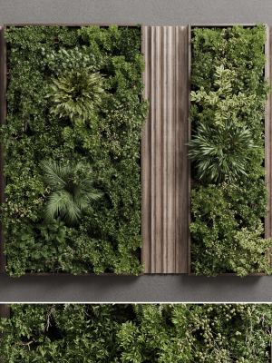 Vertical Wall Garden With Wooden frame set 53