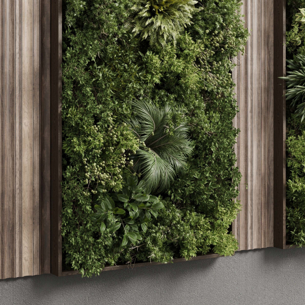 Vertical Wall Garden With Wooden frame set 53