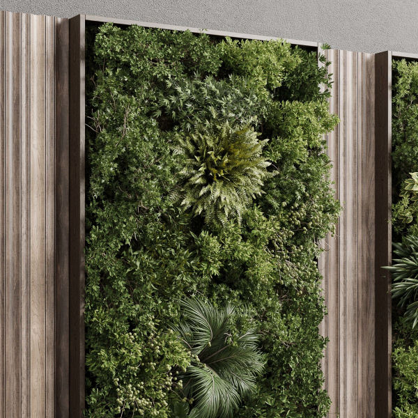 Vertical Wall Garden With Wooden frame set 53