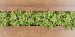 Vertical wooden Garden vol 135-Blender