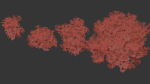 Viburnum tinus Laurustinus