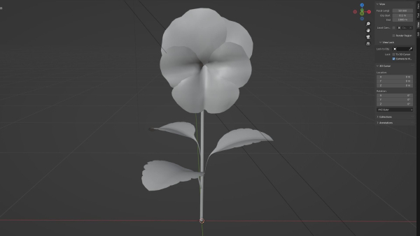 violet flower