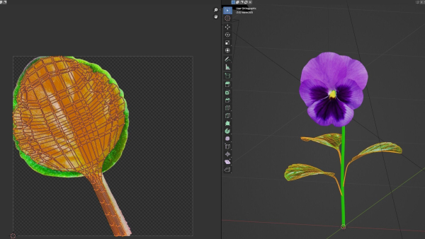violet flower
