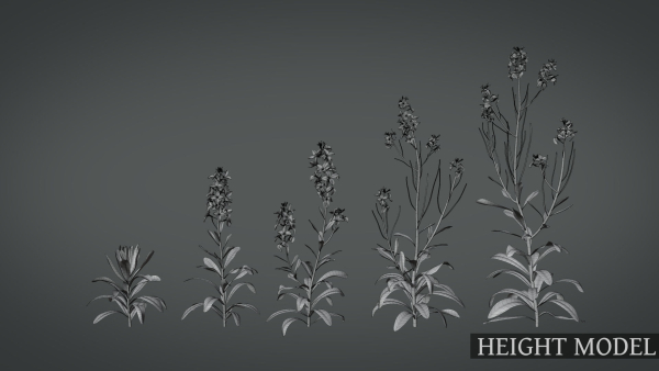 Violet Flower VFX Grace