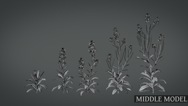 Violet Flower VFX Grace