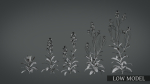 Violet Flower VFX Grace