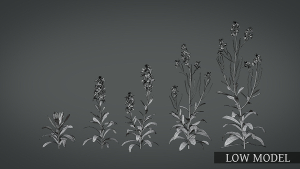 Violet Flower VFX Grace