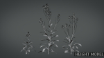 Violet Flower VFX Grace