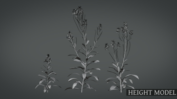 Violet Flower VFX Grace