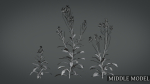 Violet Flower VFX Grace
