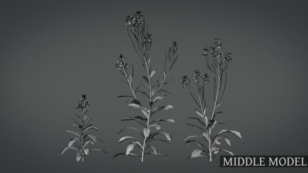 Violet Flower VFX Grace