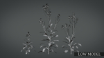Violet Flower VFX Grace