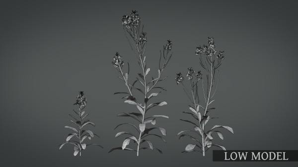 Violet Flower VFX Grace