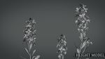 Violet Flower VFX Grace