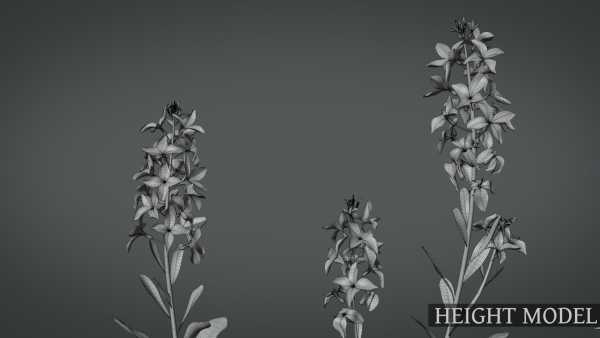 Violet Flower VFX Grace