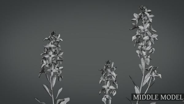 Violet Flower VFX Grace