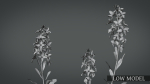 Violet Flower VFX Grace